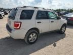 FORD ESCAPE XLT photo