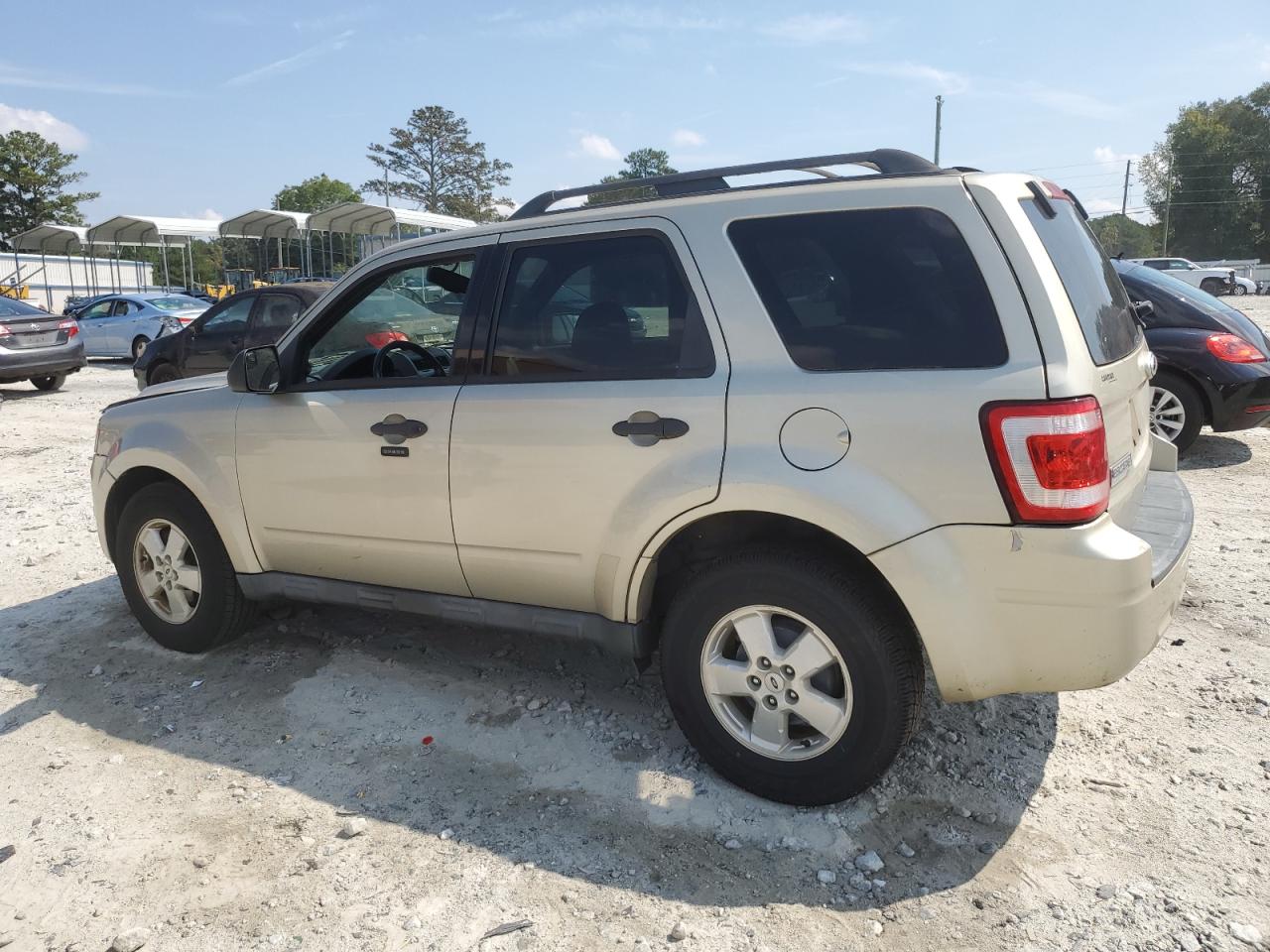 Lot #3048342725 2010 FORD ESCAPE XLT