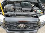 TOYOTA TACOMA DOU photo