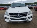 MERCEDES-BENZ ML 350 4MA photo