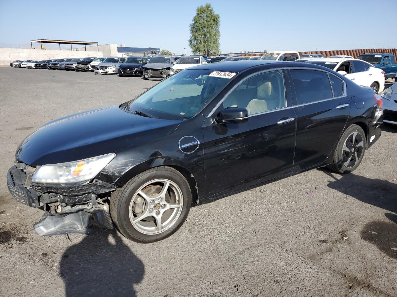 Lot #2869377699 2014 HONDA ACCORD PLU