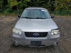 FORD ESCAPE XLT photo