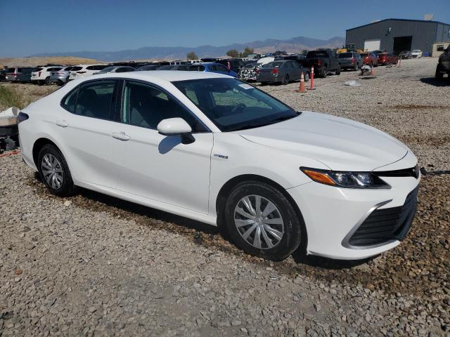 2021 TOYOTA CAMRY LE - 4T1C31AK3MU561197