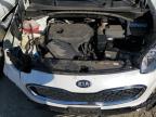 Lot #2965485175 2022 KIA SPORTAGE L