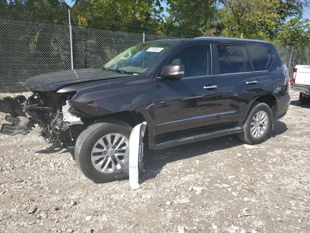 VIN JTJBM7FX3E5074711 2014 Lexus GX, 460 no.1