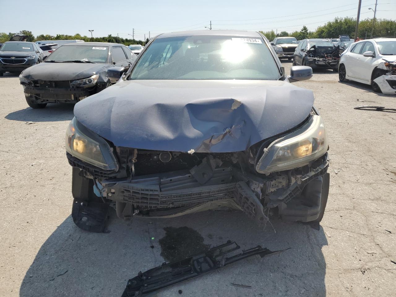 Lot #3023388280 2015 HONDA ACCORD EXL