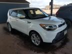 KIA SOUL + photo