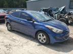 HYUNDAI ELANTRA SE photo