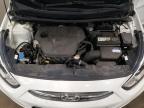 HYUNDAI ACCENT SE photo