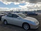 LEXUS ES 300 photo