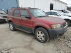 FORD ESCAPE XLT photo