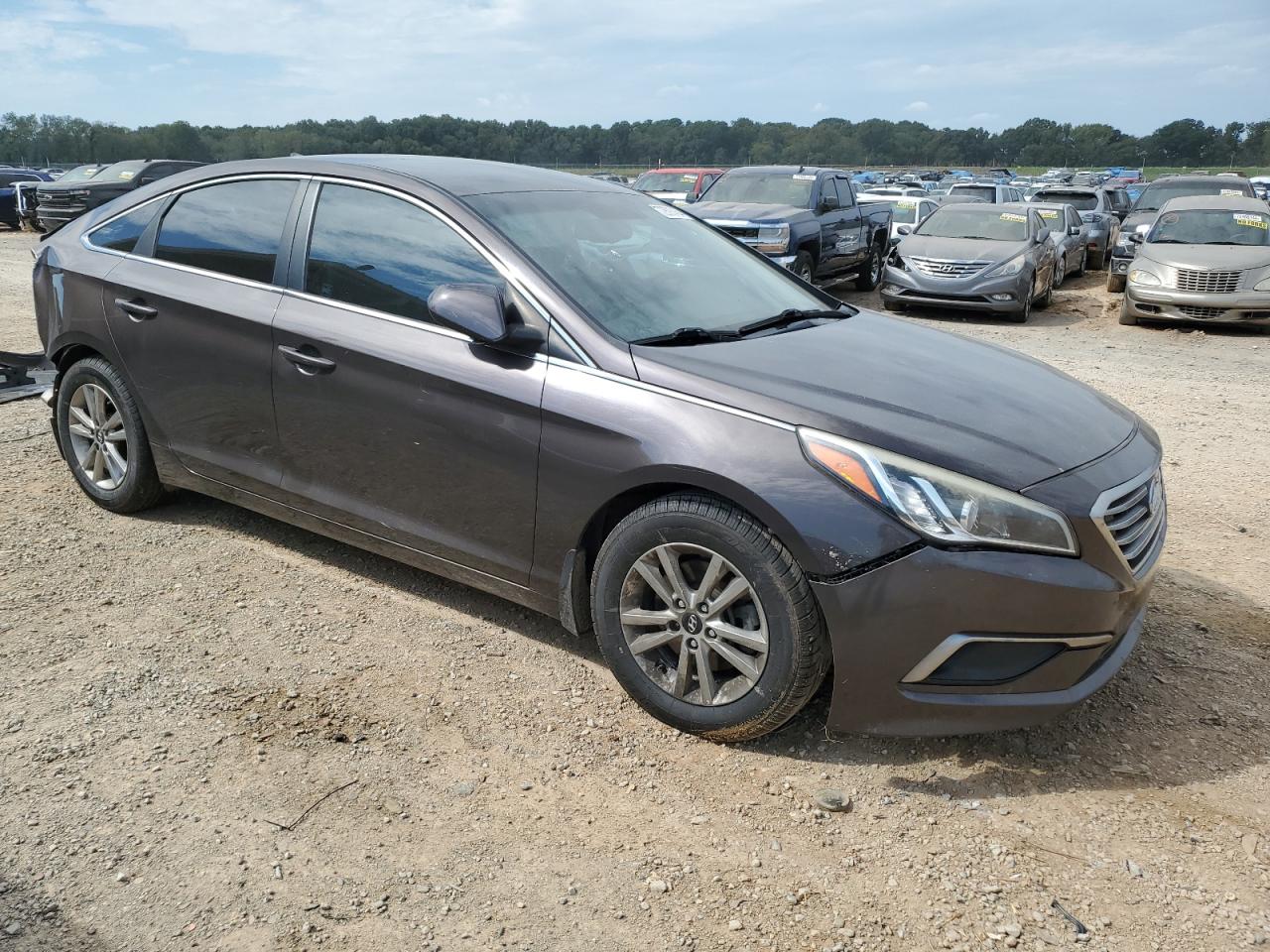 Lot #2895746765 2016 HYUNDAI SONATA SE