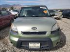 KIA SOUL + photo