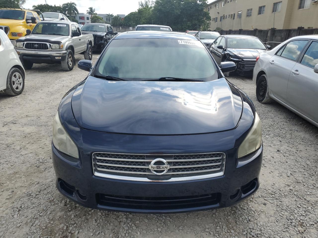 Lot #2840867319 2014 NISSAN MAXIMA S