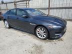 JAGUAR XF R - SPO photo