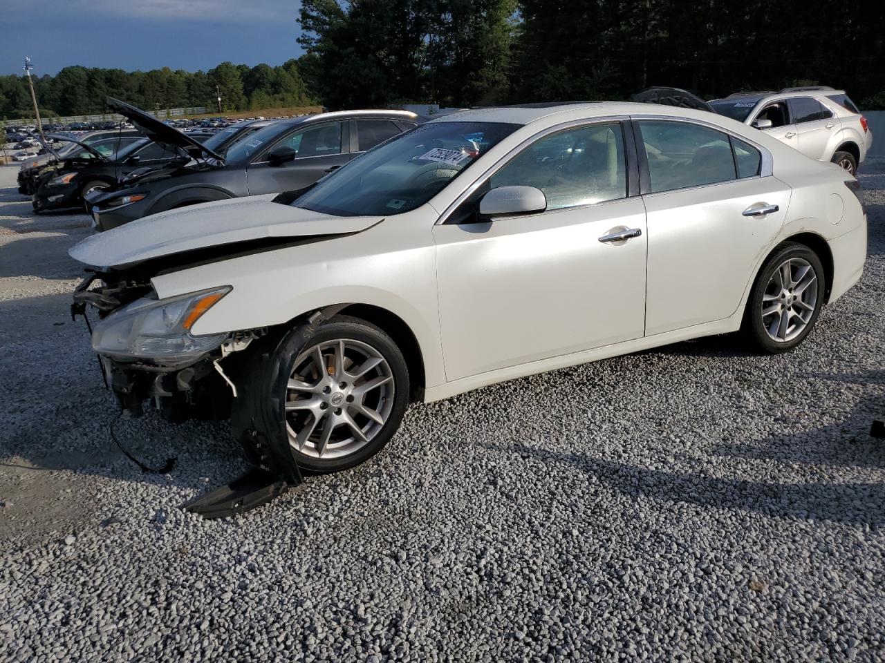 Nissan Maxima 2014 