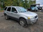 FORD ESCAPE XLT photo