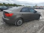 KIA FORTE EX photo