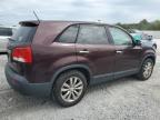 KIA SORENTO EX photo