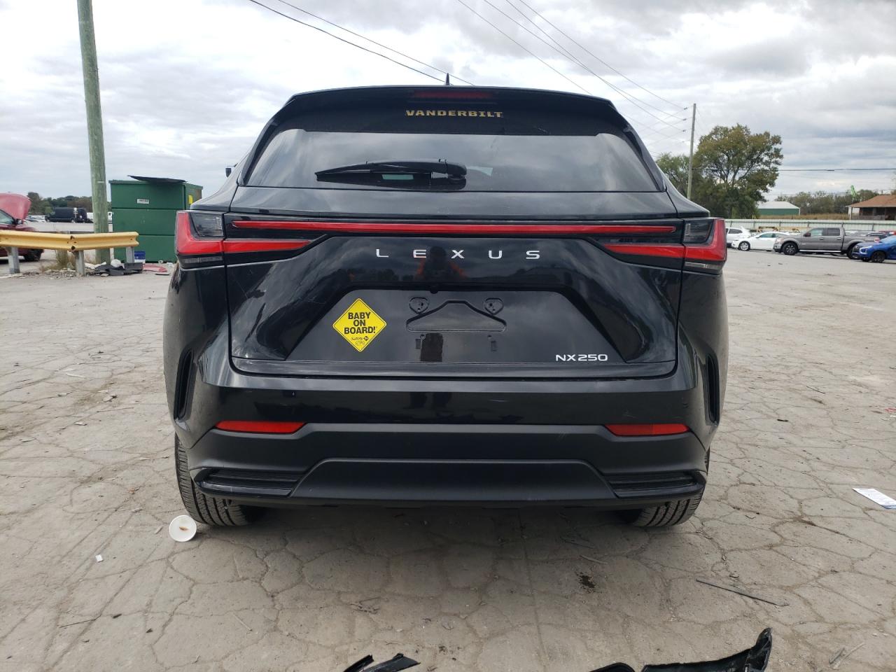 Lot #2974751095 2024 LEXUS NX 250 BAS