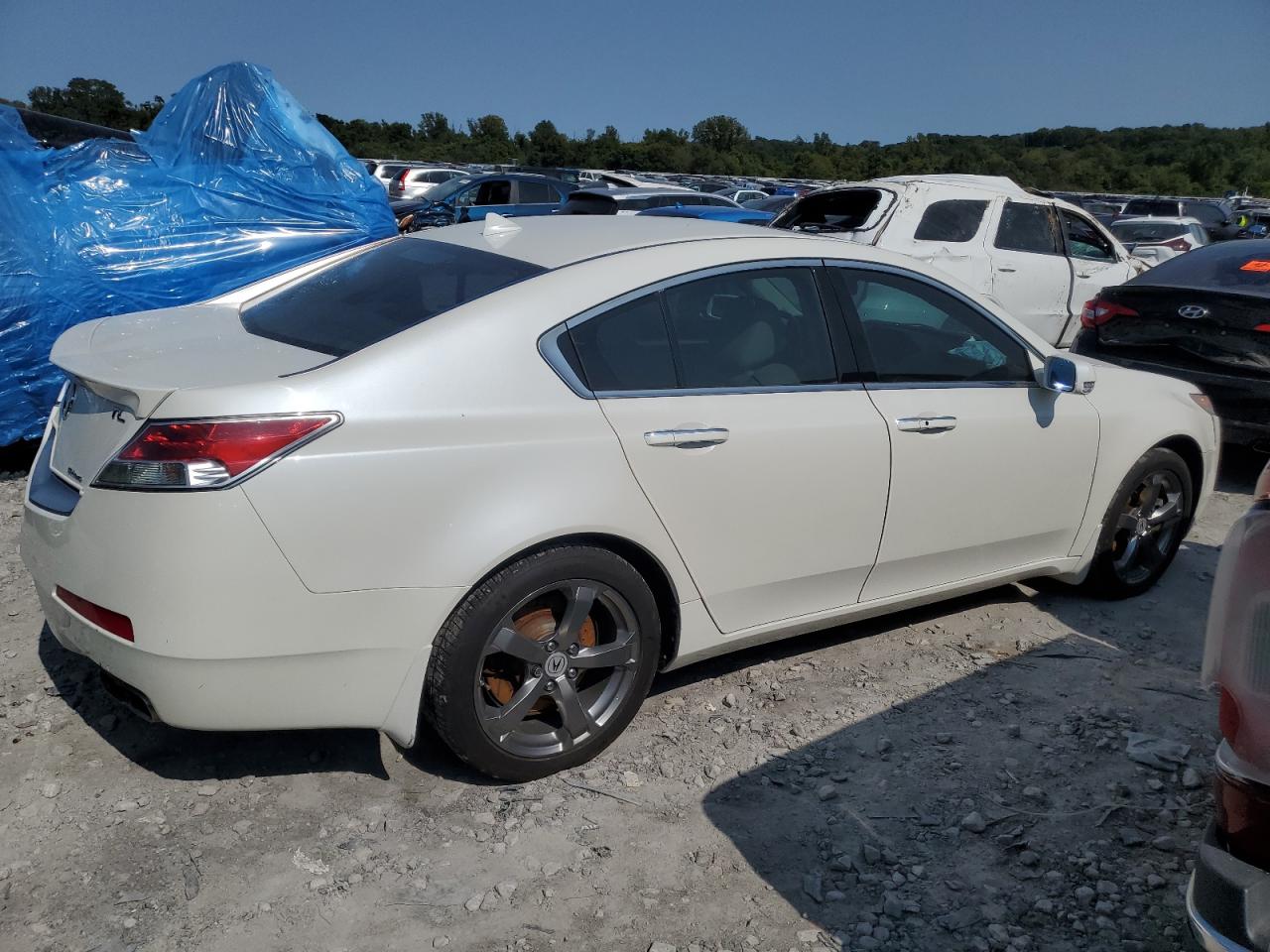 Lot #2840987310 2011 ACURA TL