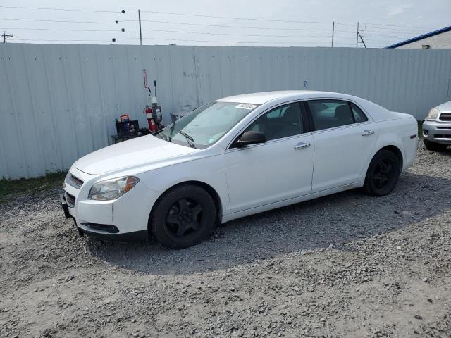 2011 CHEVROLET MALIBU LS 1G1ZA5EU3BF177955  72029504