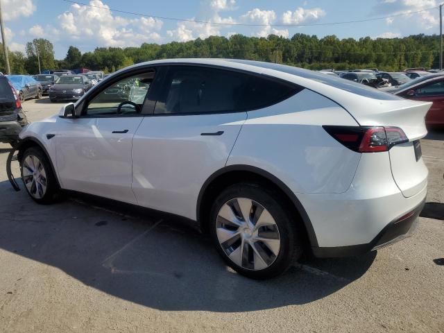 2023 TESLA MODEL Y - 7SAYGDEEXPF810843