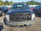 FORD F150 photo