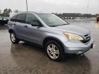 HONDA CR-V EX photo