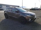 FORD ESCAPE SE photo