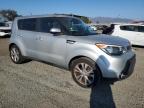 KIA SOUL + photo