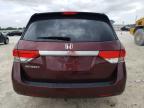 HONDA ODYSSEY EX photo