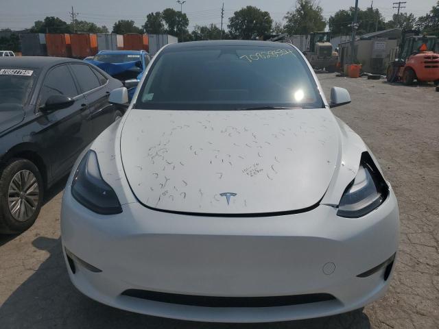 2023 TESLA MODEL Y - 7SAYGDEE0PF673590
