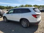 HONDA PILOT EXL photo