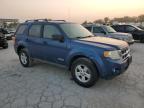 Lot #3024075638 2008 FORD ESCAPE HEV