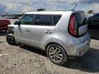 KIA SOUL + photo