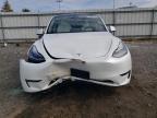 Lot #3026018953 2023 TESLA MODEL Y