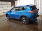 TOYOTA RAV4 XLE photo