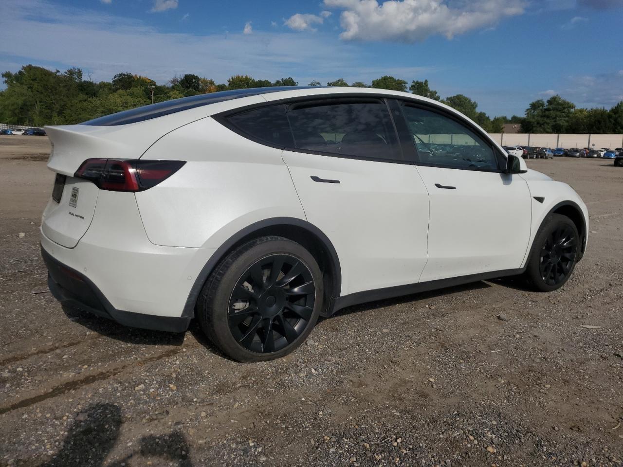 Lot #2972460680 2022 TESLA MODEL Y