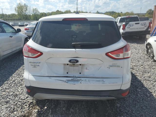 VIN 1FMCU0G90FUA53381 2015 Ford Escape, SE no.6