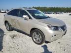 LEXUS RX 350 photo