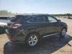 LEXUS RX 350 photo