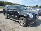 CADILLAC ESCALADE H photo