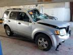 FORD ESCAPE XLT photo