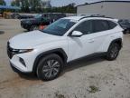 2024 HYUNDAI TUCSON BLU - KM8JBCD1XRU219181
