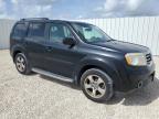 Lot #3024064666 2015 HONDA PILOT EXL