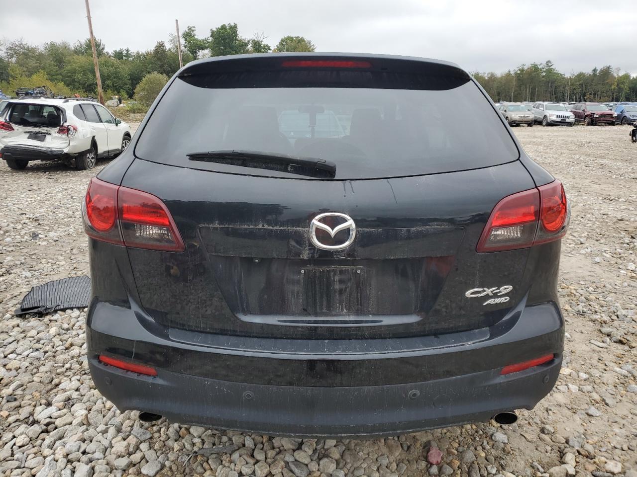 Lot #3014977006 2014 MAZDA CX-9 TOURI