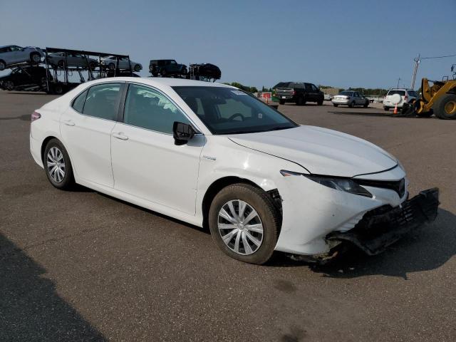 2019 TOYOTA CAMRY LE - 4T1B31HK5KU005388