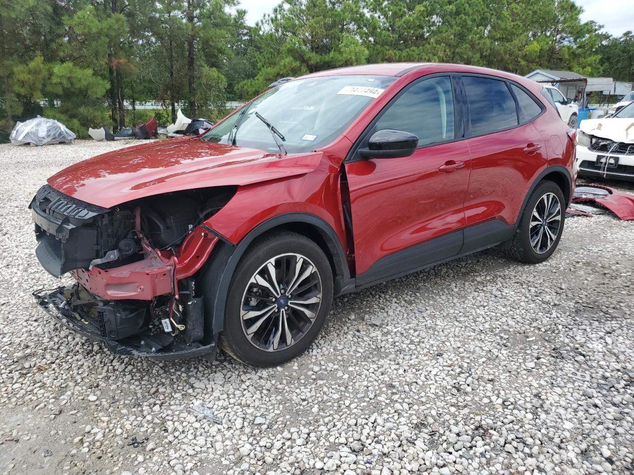 Lot #2843294533 2022 FORD ESCAPE SE