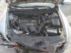 HONDA ACCORD LX photo